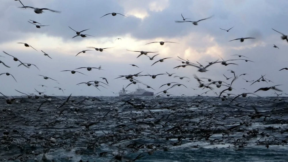 Havet vaar viktigste arbeidsgiver