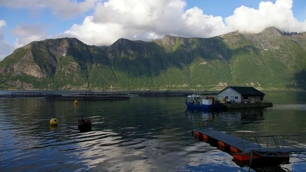 Justerer opp vekstutsiktene