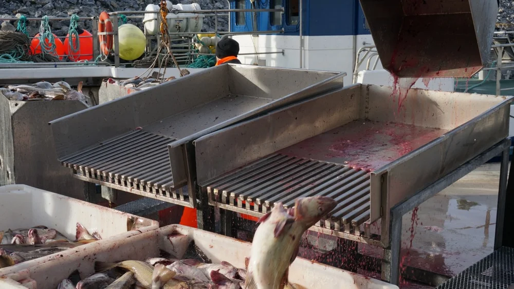 Sjoemat Norge retter baker for smed