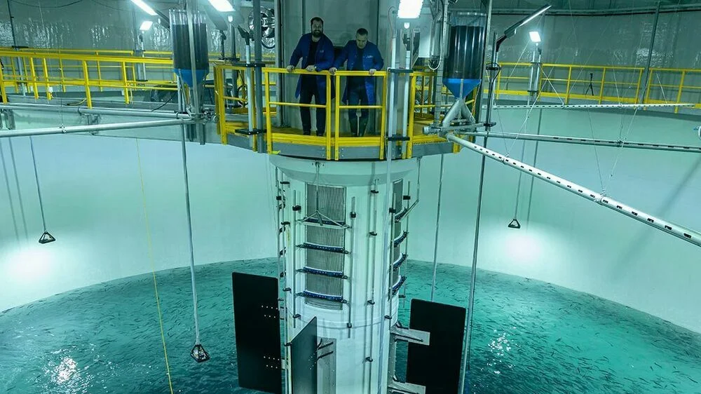 First smolt release March22 09 10d736c24b54623aee7c17f28e13399c