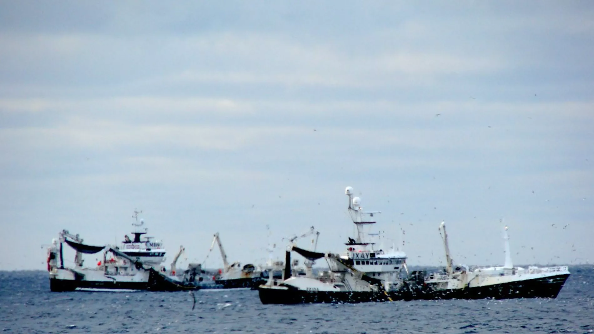 Forutsigbart roeykteppe fra Fiskebaat