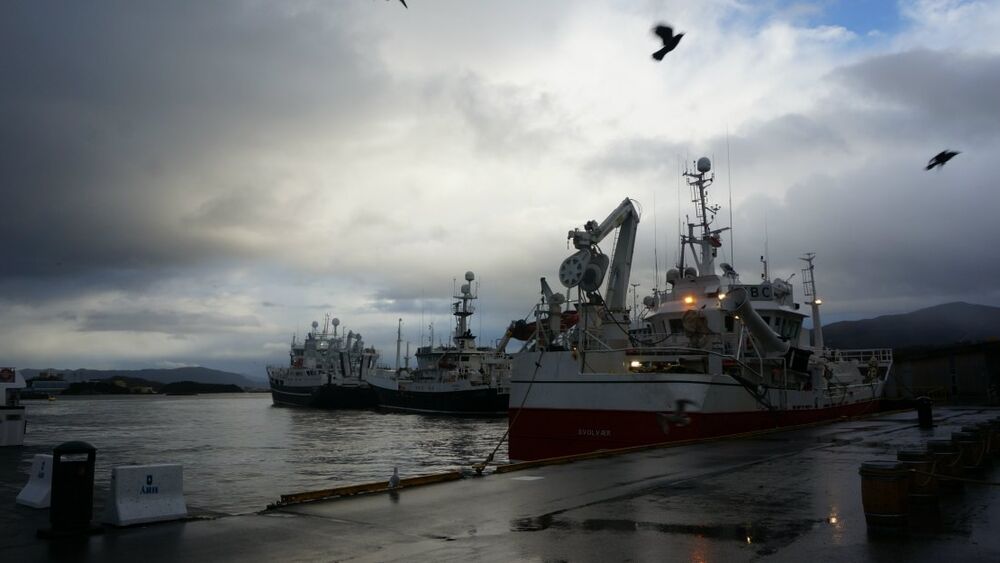 Sjoemat Norges maanelanding