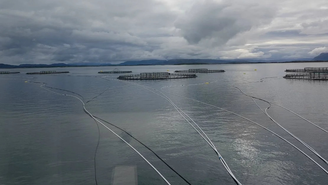 Mitt Ditt Eller vaart ansvar