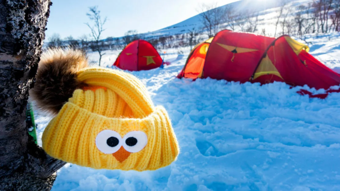 NTB x7m Jn IJ Ue30 1