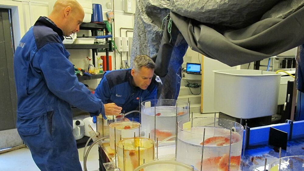 Forskning paa lab AA grave etter gull