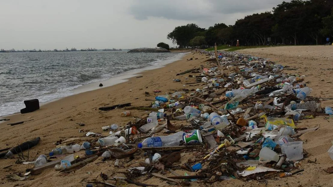 Hva gjoer Norge paa verdensbasis for aa hindre marin forsoepling