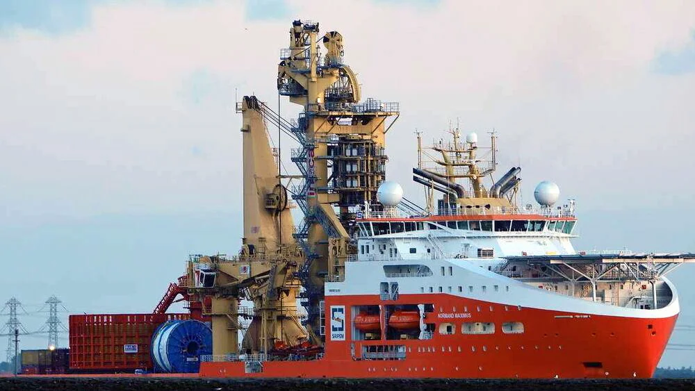 Nordmand maximus foto wikimedia commons 11