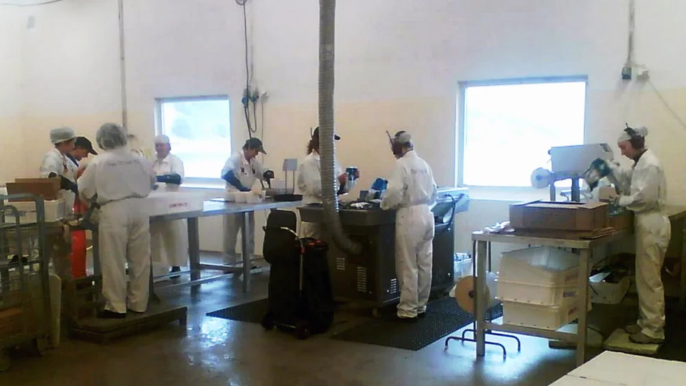 Per stave produksjon foto per stave 11