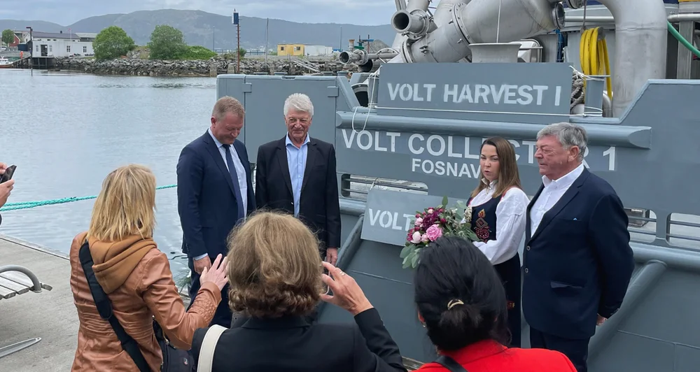 Volt collcetor dåp foto marius 33