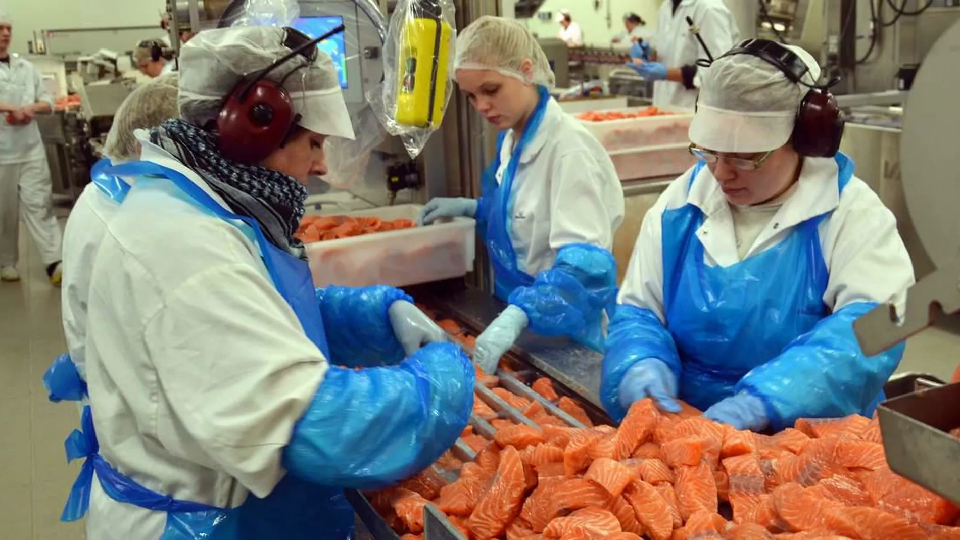 Byggjer like stort som Marine Harvest