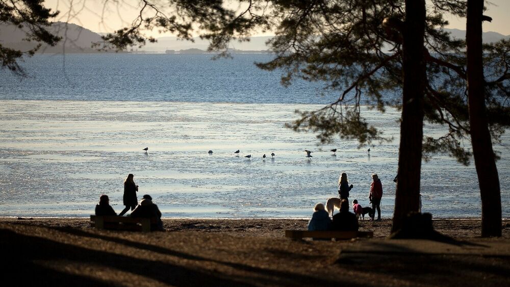 Strandsonen bygdoy anne elisabth scheen