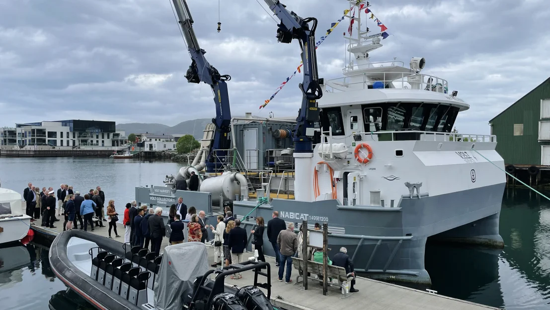 Volt collector dåp foto marius 22