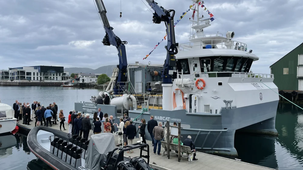 Volt collector dåp foto marius 22