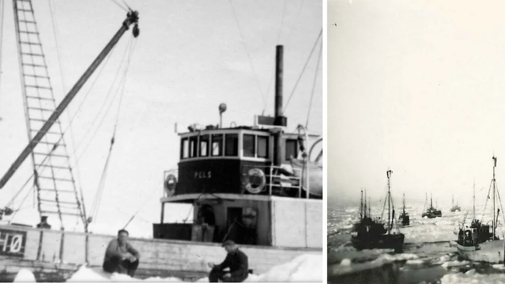 Minnemarkering Trebaatfestivalen foto 11