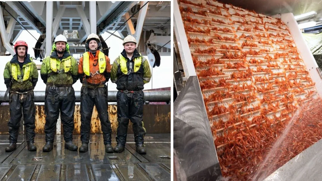 Reke fangst Remøy mannskap foto Henning Flusund 11