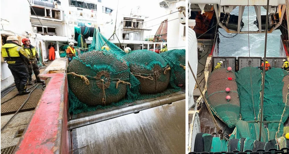 Reke fangst Remøy foto Erik Andersen Remøy Henning Flusund 11