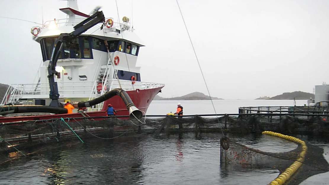 Leroey Seafood inn i broennbaatbransjen