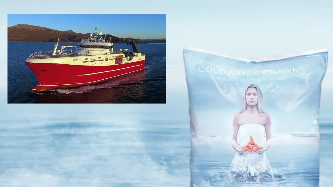 Remøy Coldwater Prawns montasje