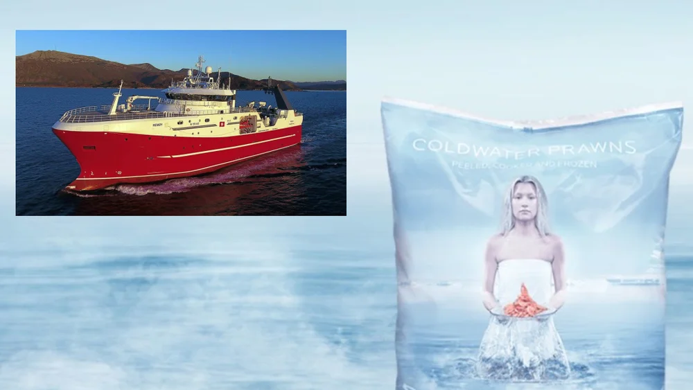 Remøy Coldwater Prawns montasje