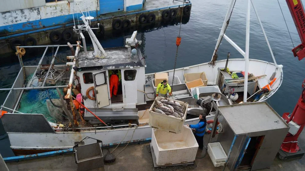 Kjempemaanad for torskefiskarane