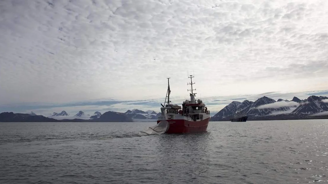 Greenpeace planlegg aksjonar mot traaling i Barentshavet