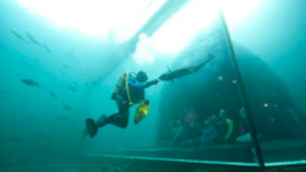 Reiselivspris til Atlanterhavsparken