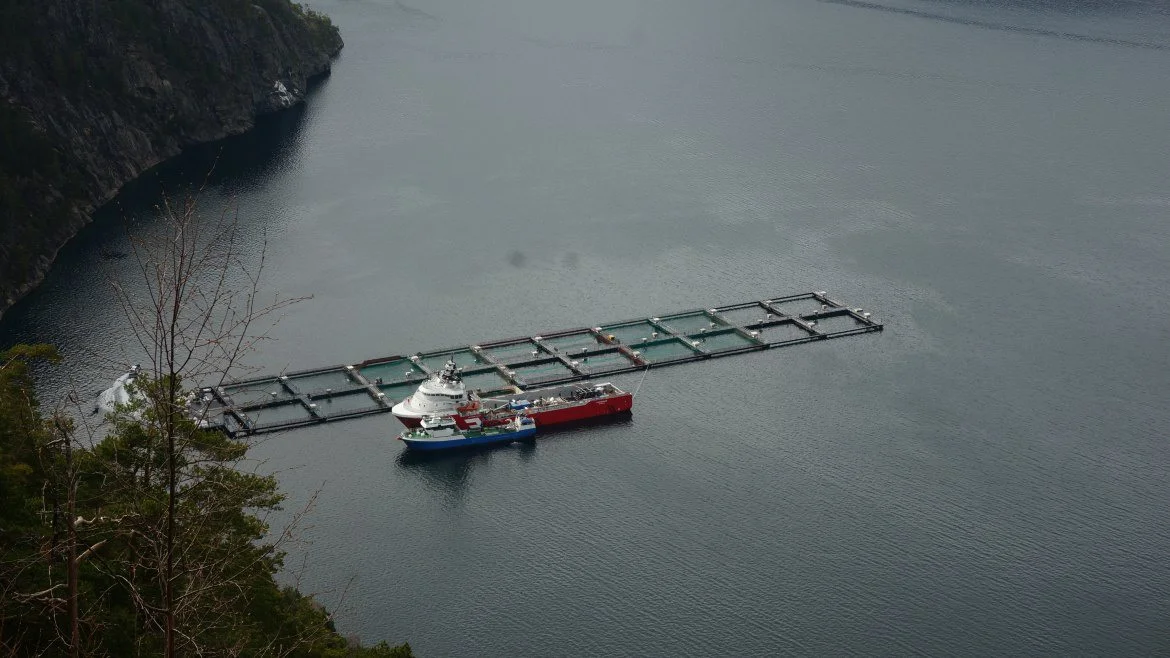 Farstad snusar paa oppdrett