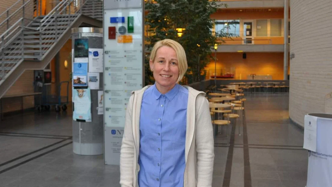 Kjem med innspel til NTNU