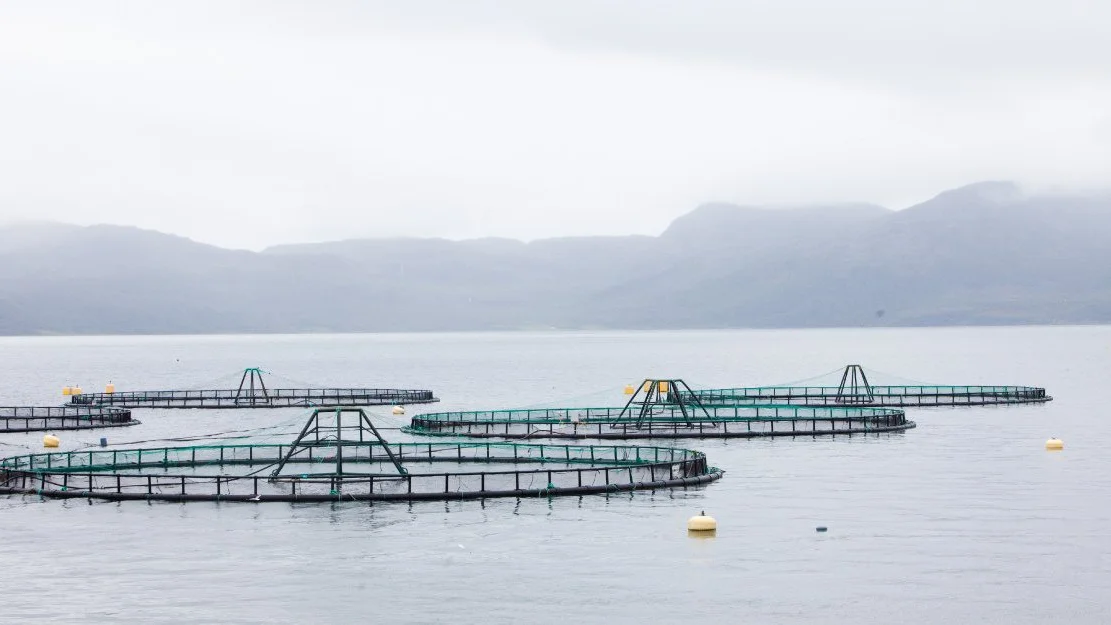 Eksportkreditt oeker innsatsen mot mindre bedrifter