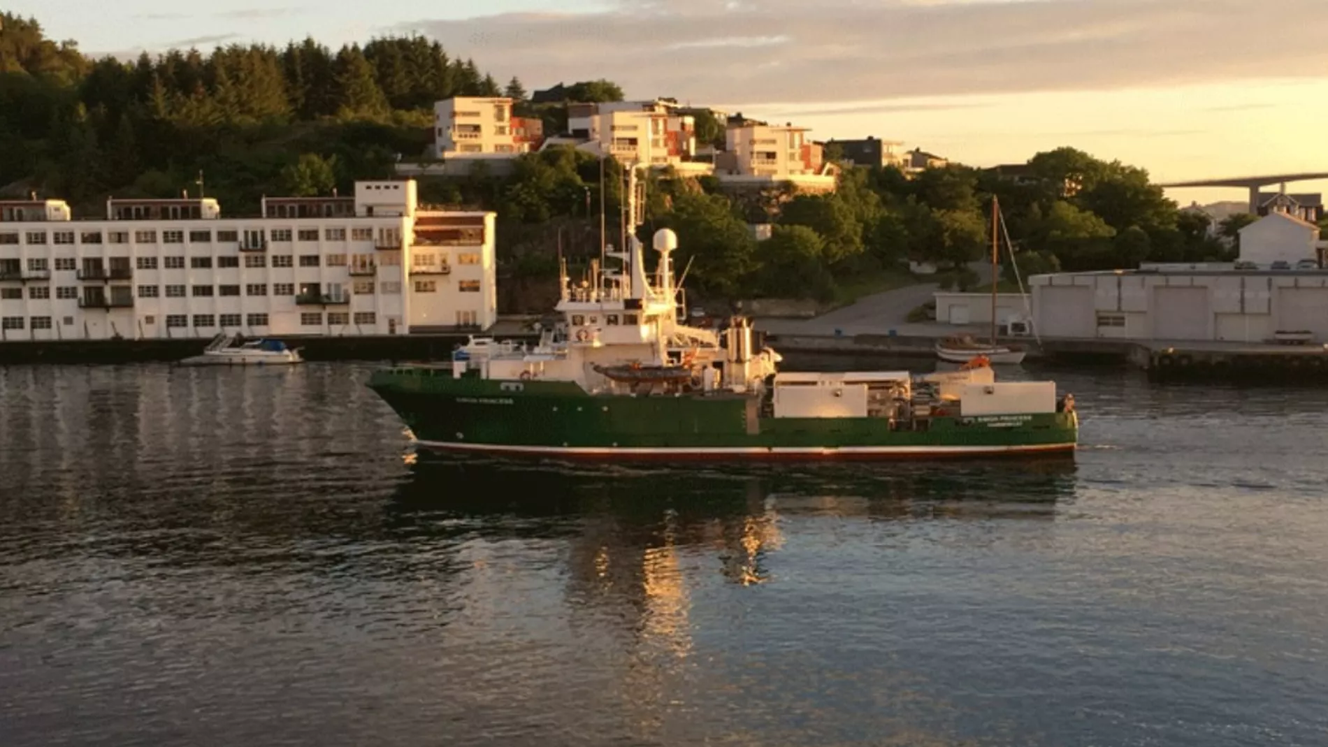 Naa vil alle inn i havbruk