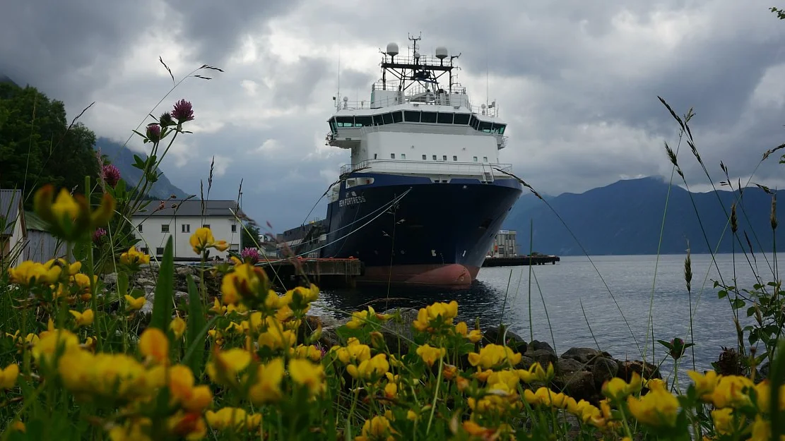 Remoey Roekke ville tvinge fram fusjon