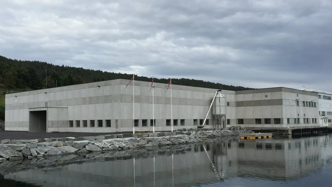 Offensiv satsing paa Ellingsoeya