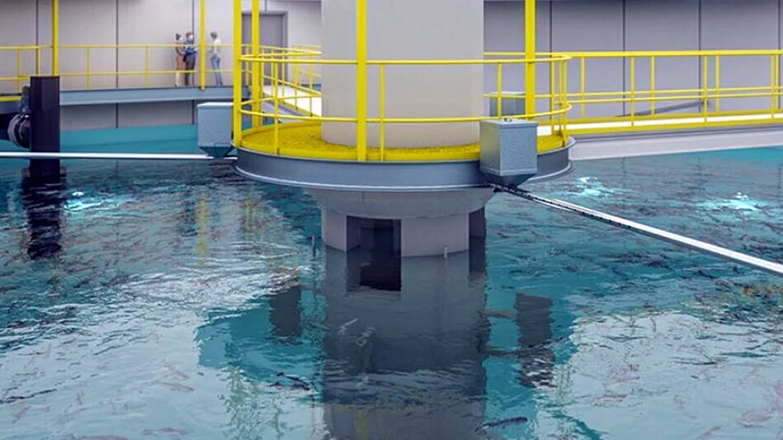 Salmon evolution kar med vann foto salmon evolution 11