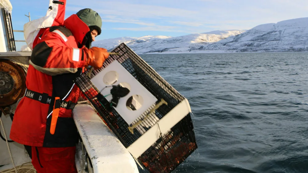 IMG 0767 foto Møreforsking