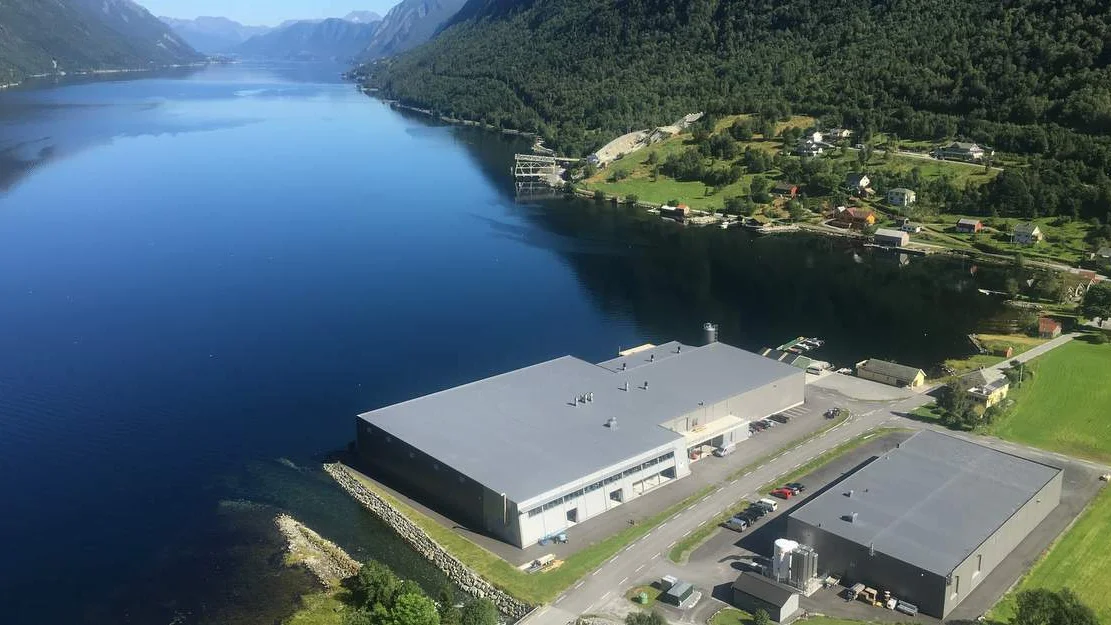 Steinsvika laks Marine Harvest