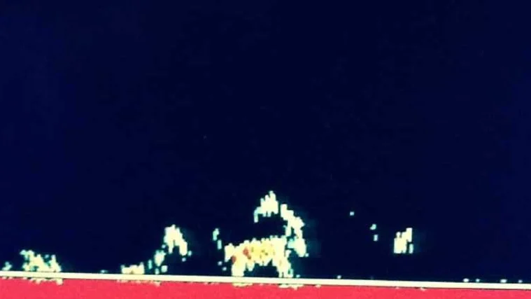 Lette etter torsk fant Rudolf