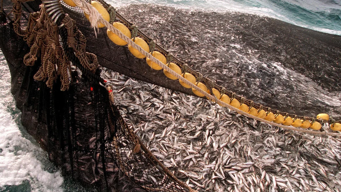 NTB wfgxd Ey O Rs U 001