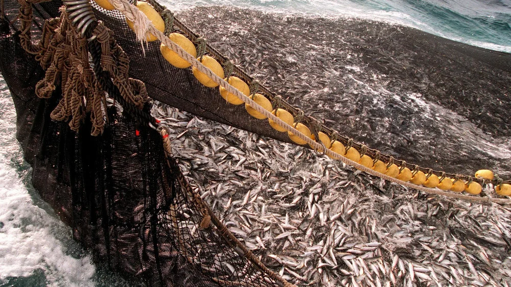 NTB wfgxd Ey O Rs U 001