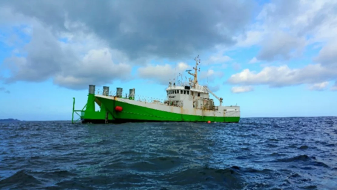 69d94b1d e96c 4778 a9db 40ac7ca2073c clipboard image