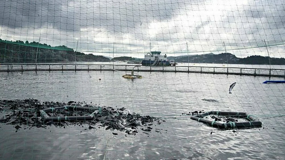 Oppdrettsnalegg foto Sysla