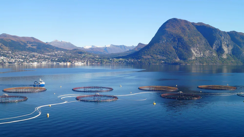 Oppdrettsskatt vekkjer debatt