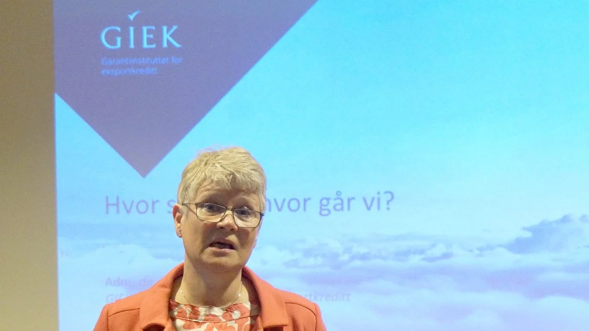 Giek styreleder Eierskap en noedloesning