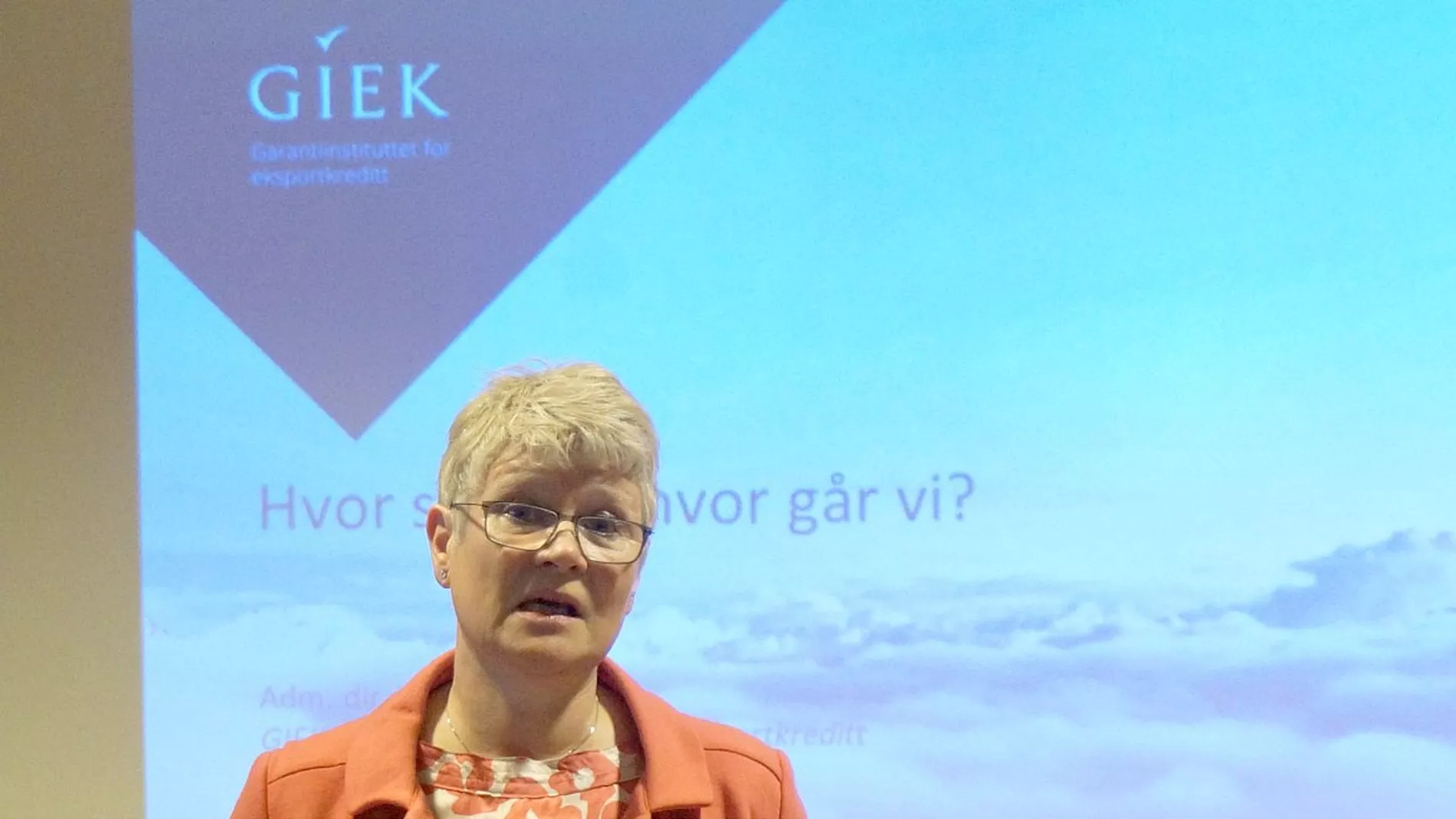 Giek styreleder Eierskap en noedloesning
