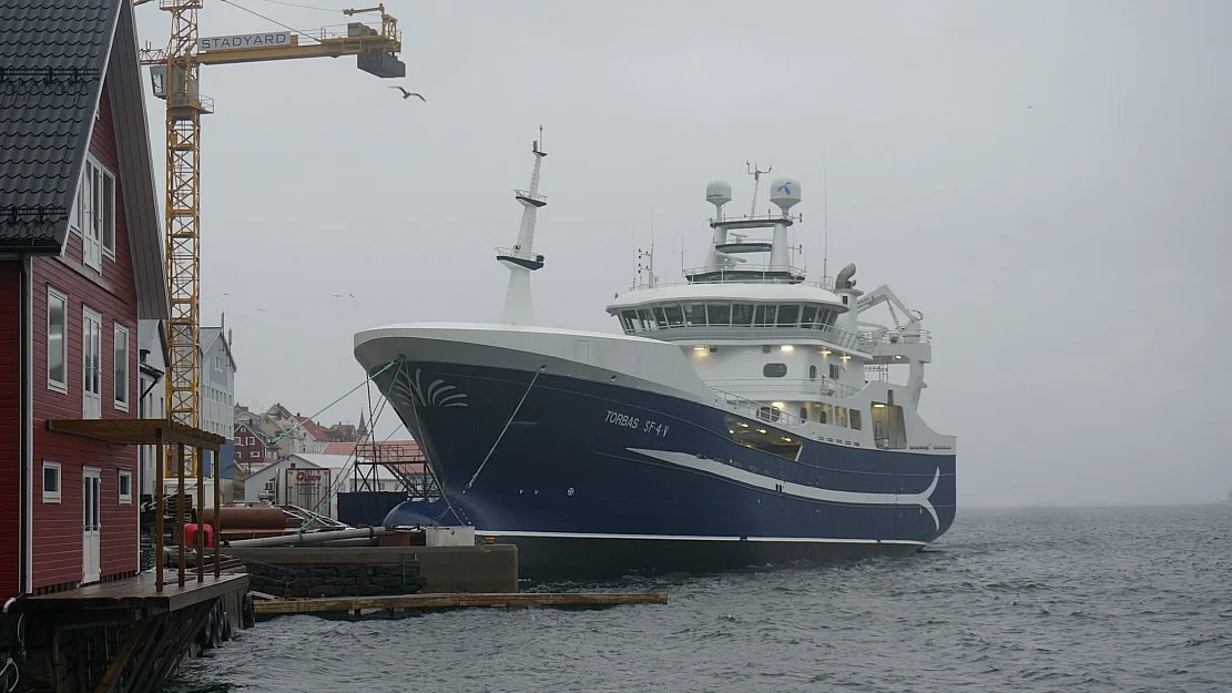 Dragkamp om kvotar for halv milliard