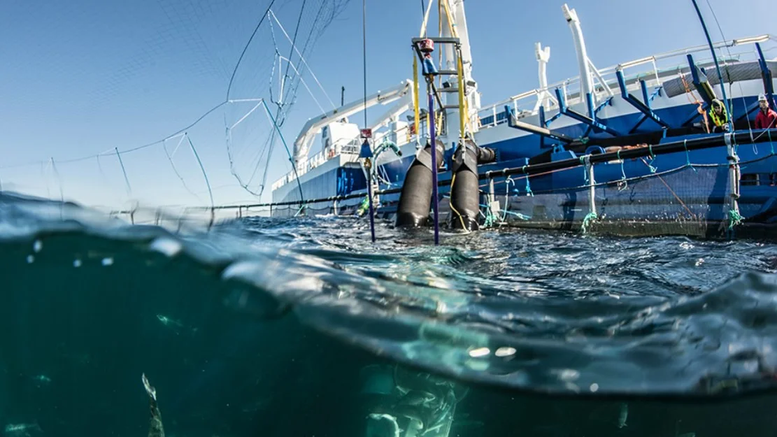 Klar for aa laste 400 000 kilo fisk i timen fra merd til baat