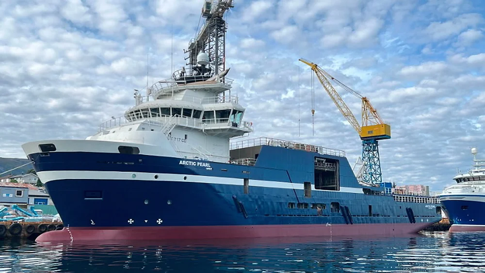 Arctic Pearl foto Ava Ocean 11