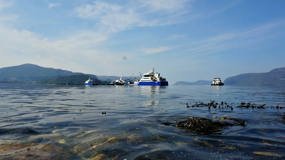 Lakseoppdrett Vartdalsstranda foto Ogne