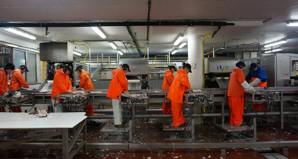 Opptur for klippfisk