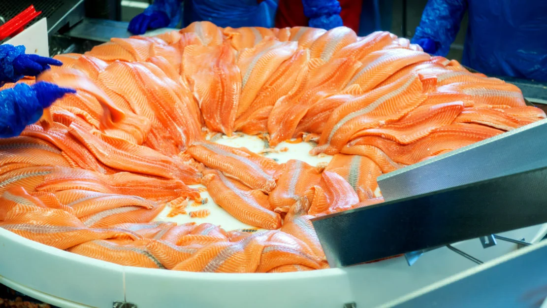 NTB p J 0 KR6j6v M 1