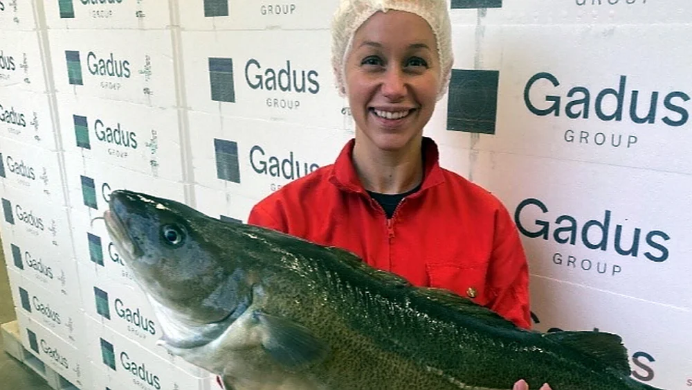 Gadus Cathrin Rabben salgssjef foto gadus 11